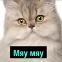 ملصق