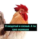 ملصق