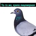 ملصق