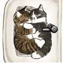 สติกเกอร์