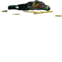 Autocollant