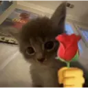 ස්ටිකර්