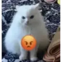 ස්ටිකර්