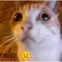 ස්ටිකර්