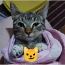 ස්ටිකර්