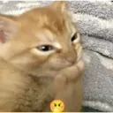 ස්ටිකර්