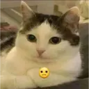 ස්ටිකර්