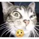 ස්ටිකර්