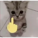 Çıkartma