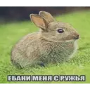 Çıkartma