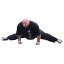 Pelekat