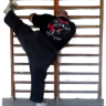 Pelekat