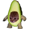 Límmiði