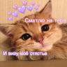 Samolepka