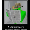 Стикер