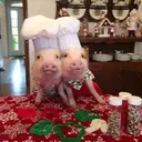 สติกเกอร์