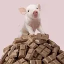 สติกเกอร์