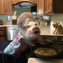 สติกเกอร์