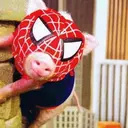 สติกเกอร์