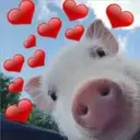 สติกเกอร์