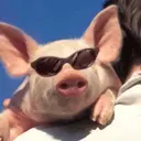 สติกเกอร์