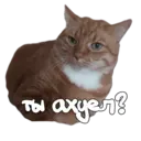 ស្ទីកเกอร์