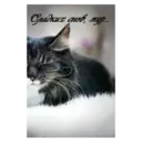 ஸ்டிக்கர்