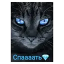 ஸ்டிக்கர்