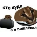 Стикер