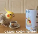 สติกเกอร์