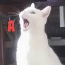 สติกเกอร์