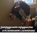 สติกเกอร์