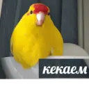 สติกเกอร์