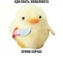 贴纸