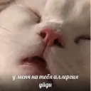 贴纸