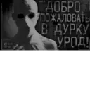 Stika