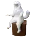 Samolepka