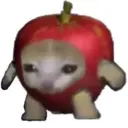 স্টিকার