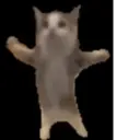 স্টিকার