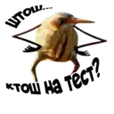 สติกเกอร์