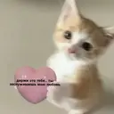 Стикер