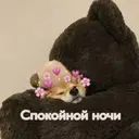 ஸ்டிக்கர்