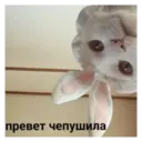 ஸ்டிக்கர்