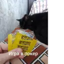 Figurinha