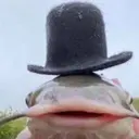 מדבקה