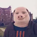 מדבקה