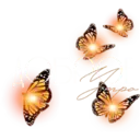 ஸ்டிக்கர்