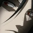 สติกเกอร์