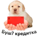 Կպչուն պիտակ