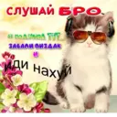 ஸ்டிக்கர்